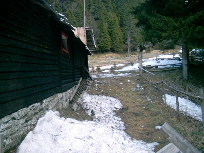 04120062 - Iezer-Papusa