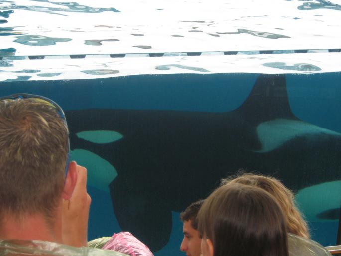 IMG_0788 - Tenerife 2006