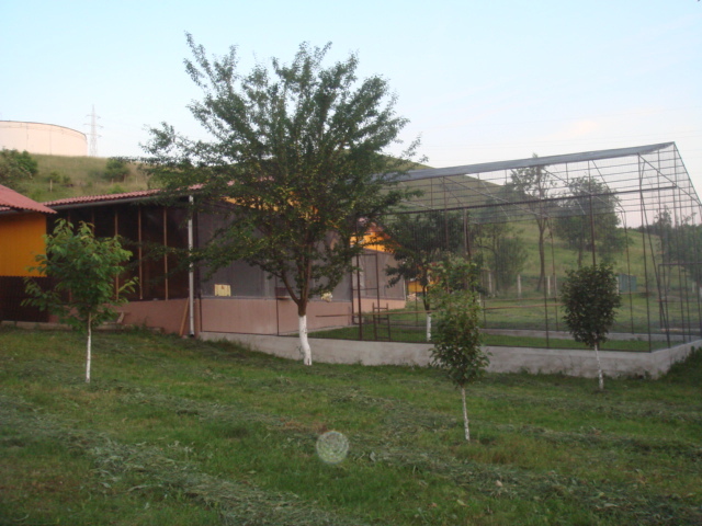 DSC00849