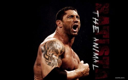 wallpaper-of-the-animal-batista-500x315 - Batista