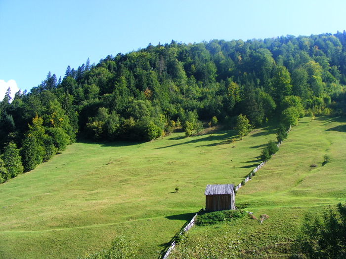 DSCF6295 - muntii Rodnei