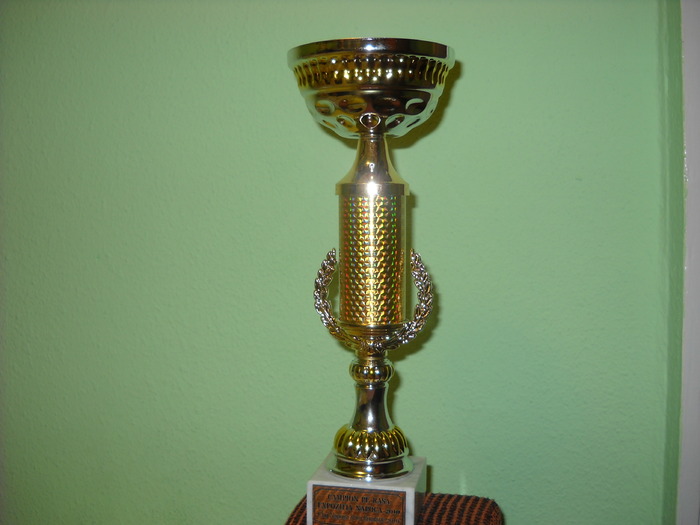 Cupa de campion Expo Cluj 2010 - Palmares
