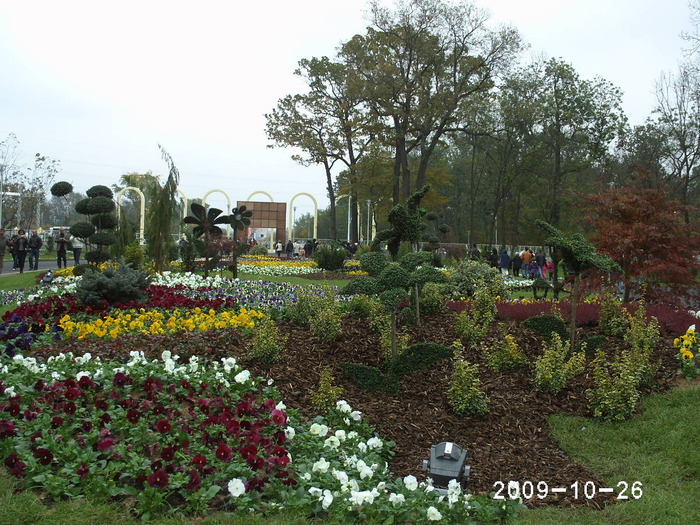  - Parcul Tineretului Craiova