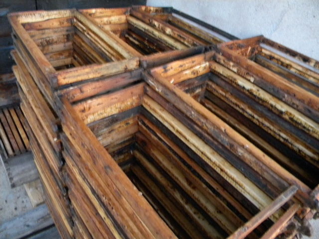 DSCN1876