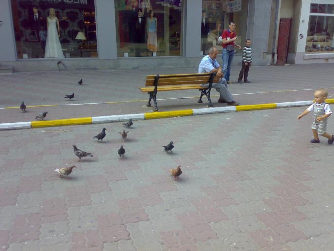 23072008665 - 18a Constanta 1