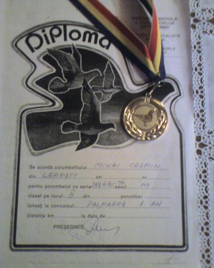 Loc 2 VITEZA 1996, club 3-2 Campulung, cu porumbelul 286430-94 m - Diplome si medalii