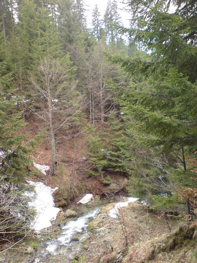 DSC01186