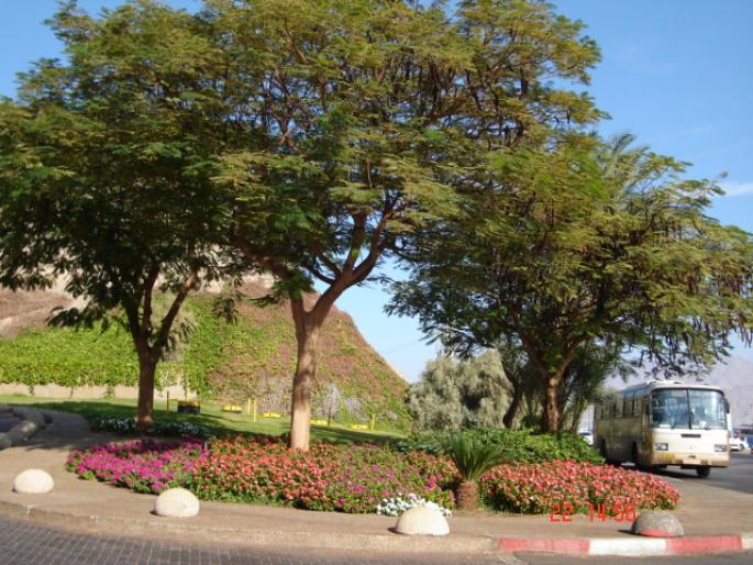 639 Israel - La granita cu Egiptul - Hotel Princess - 2008 ISRAEL NOIEMBRIE