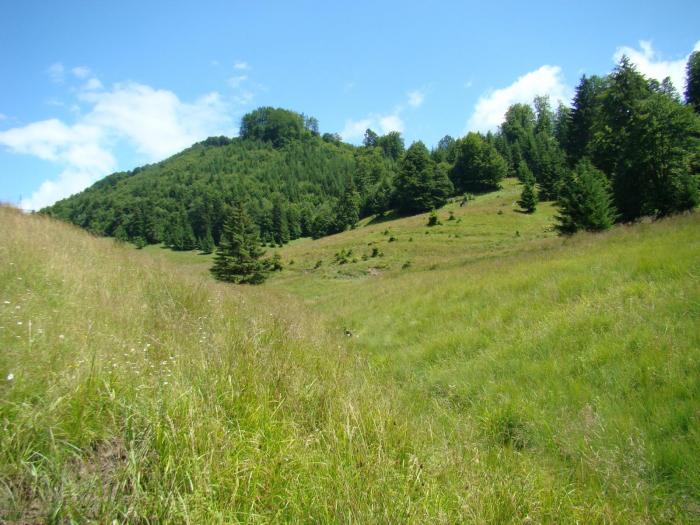 DSC02098 - Concediu 2008