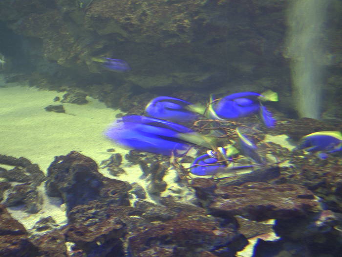 PICT0140 - EXCURSIE  in DELTA