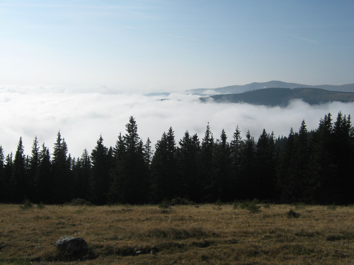 VARFUL URSU 25.10.2009 228