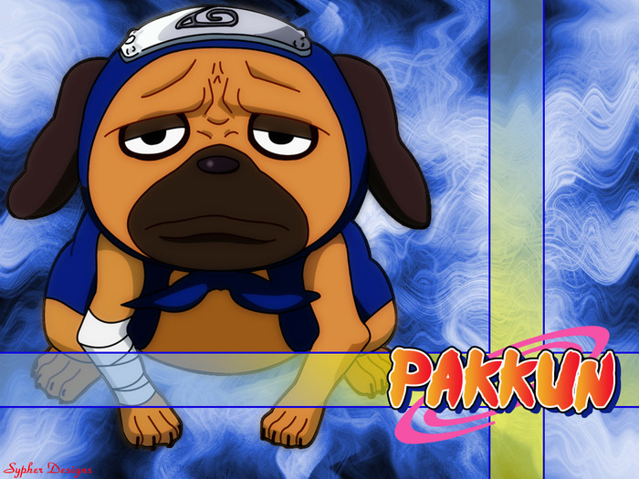 pakkun-naruto - multe