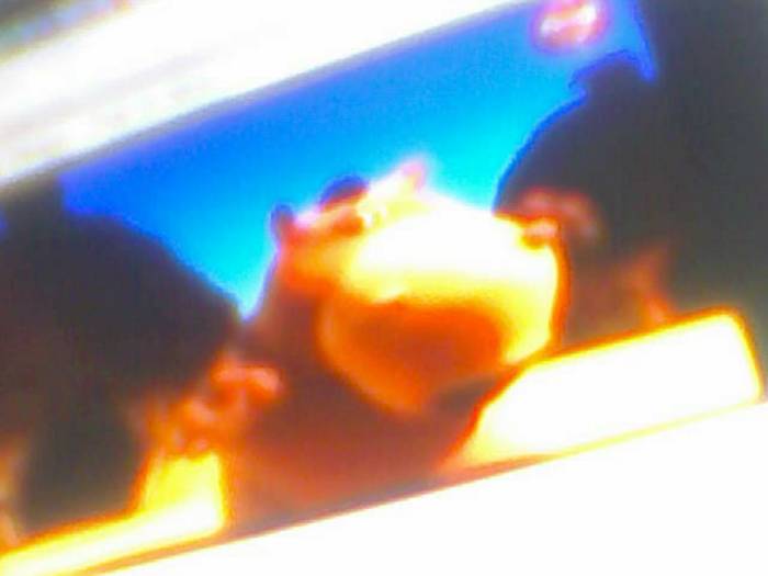 snapshot-690 - Pentru iutu