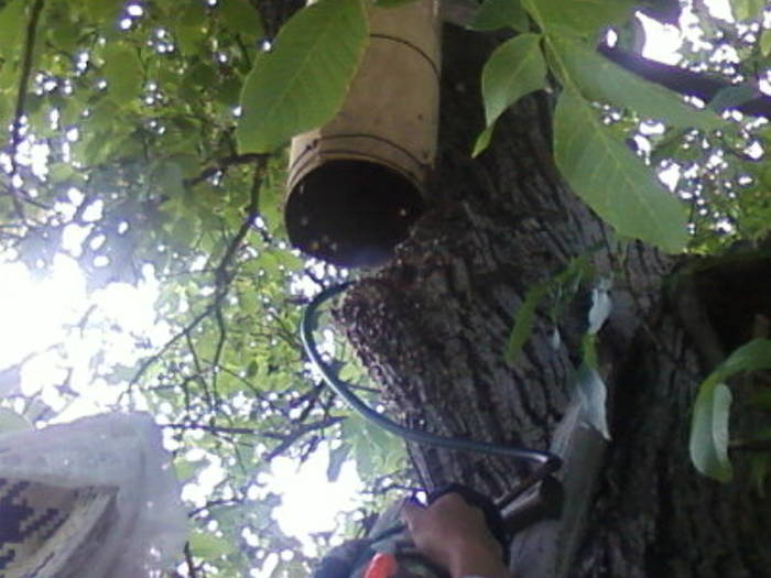 Fotografii-0037