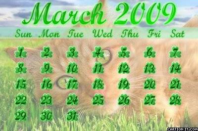 calendar - calendar 2009