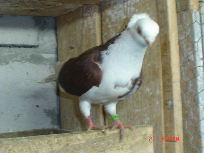 DSC02859