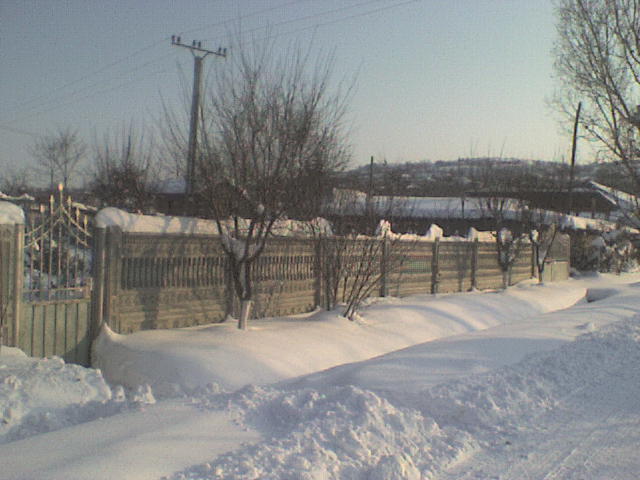 DSC01262 - iarna in sat