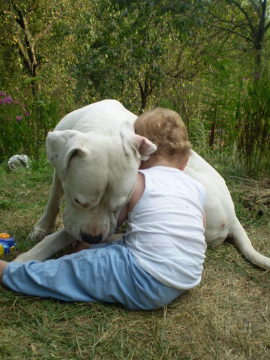 Picture-olympus 785 - dogo argentino