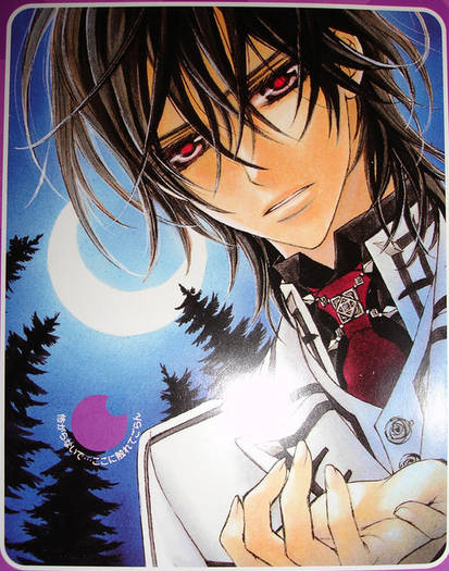 a_2836[1] - Vampire Knight