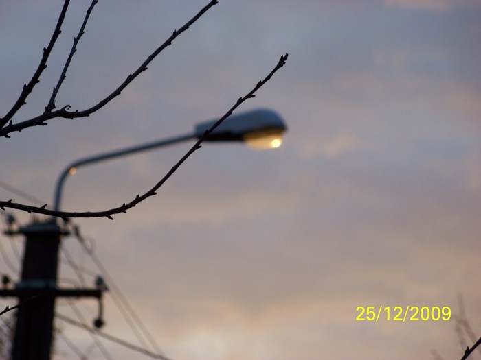100_7891 - Sfarsit de decembrie 2009