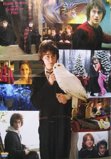 29496044 - harry potter