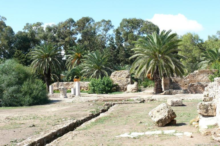 Tunisia_705 - Tunisia