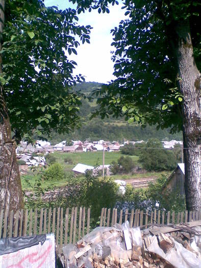 Image001 - asta da viata