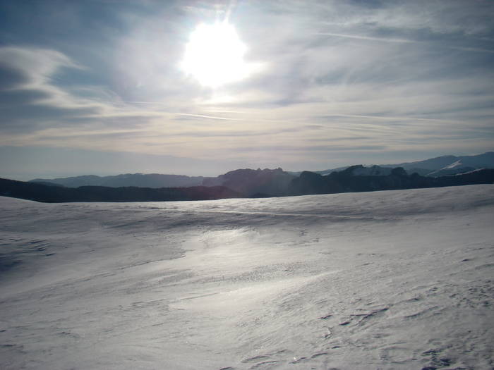 DSC01190 - Bucegi - Valea Izvorul Dorului-Padina