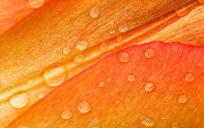 (70) - HD Wallpapers