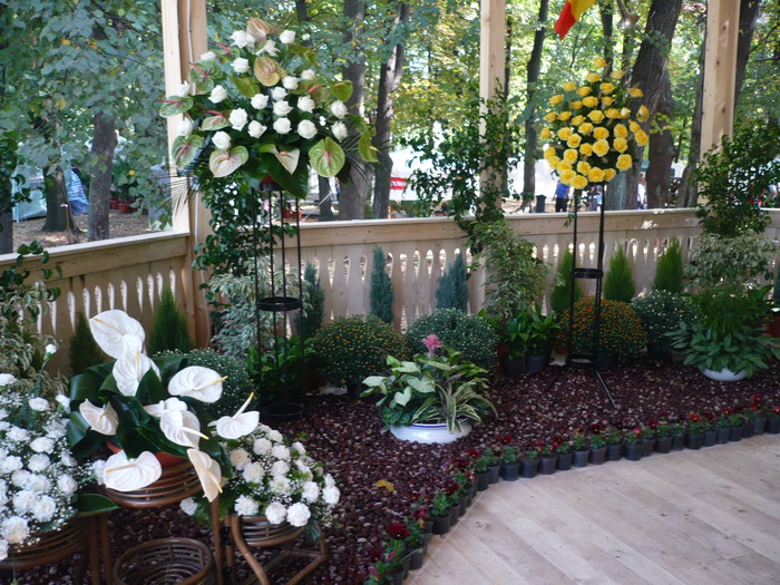 29-09-2009 058 - Expo-Flora 2009 Baia Mare