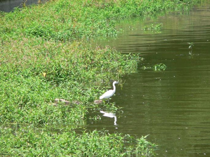 P1000205 - 2007 in plimbare prin herastrau