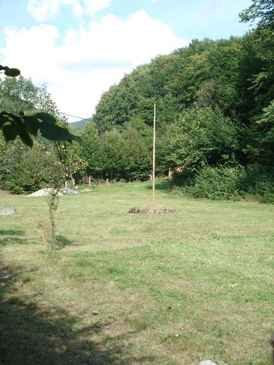 Picture 378; Valea Neagra /Maramures
