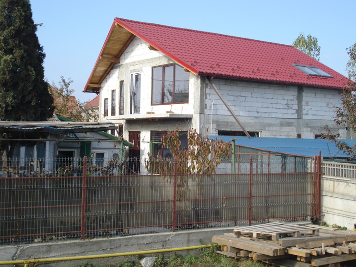 DSC02528