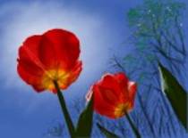 864356 - desene desenatori