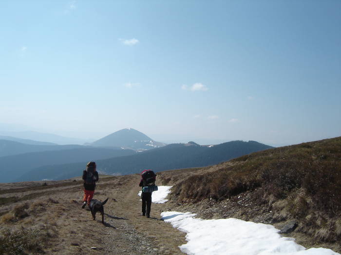 adventure 131 - muntii suhardului aprilie 2009