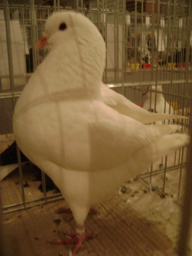 DSC08088