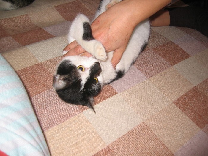 23 dec 2007 016