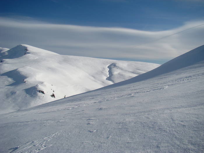 DSC01164 - Bucegi - Valea Izvorul Dorului-Padina