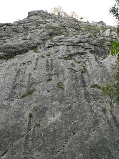 P100084