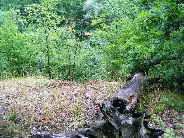 DSCF2563