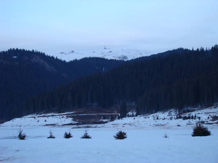 DSC01208 - Bucegi - Valea Izvorul Dorului-Padina