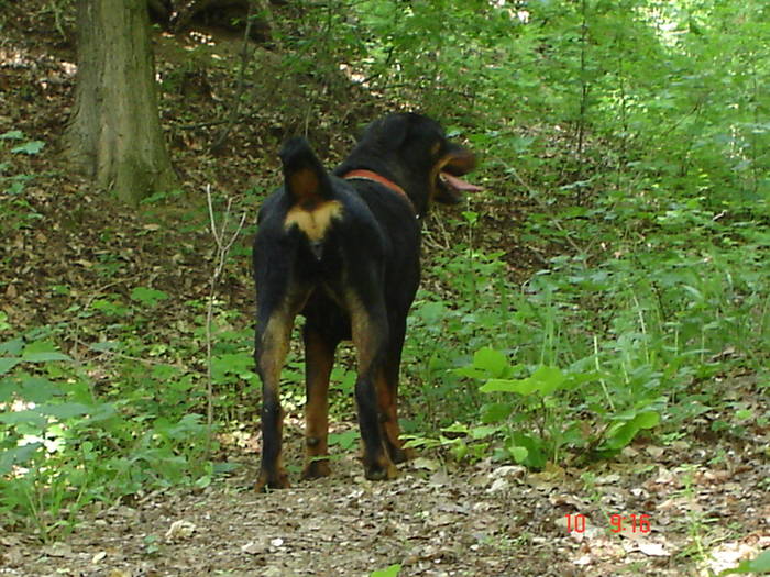 DSC04870 - BELLA poze noi