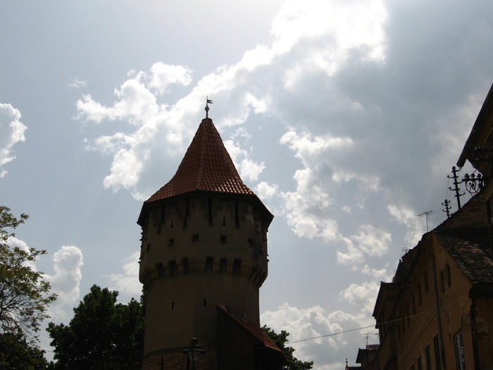 IMG_4627 - SIBIU - 18 mai 2008