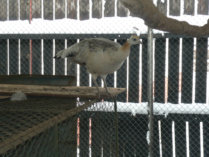 P1000746
