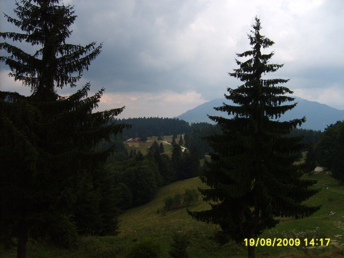 S5002633 - Sinaia 23 08 2009