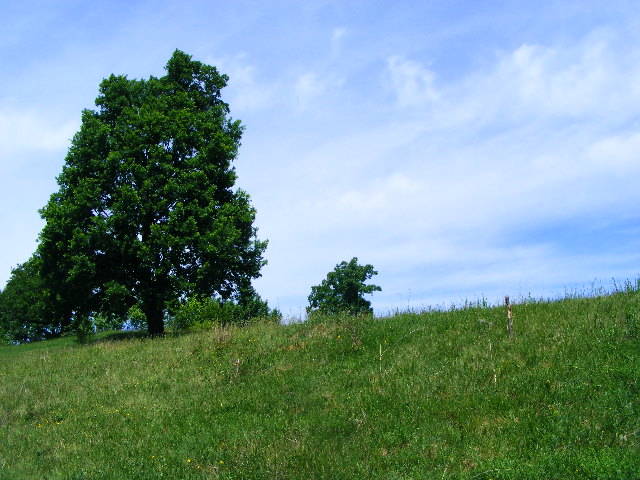 DSCF0537