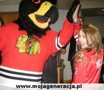 mediumkf49we5649984a1ee5d2203269