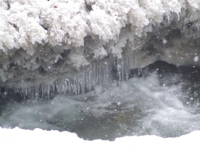 DSCF4604 - poiana zinelor