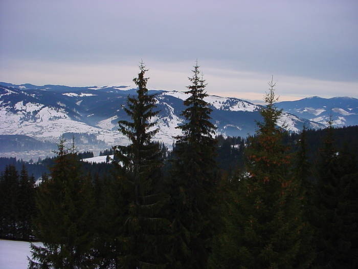 DSC04322 - 2006 REVELION VATRA DORNEI