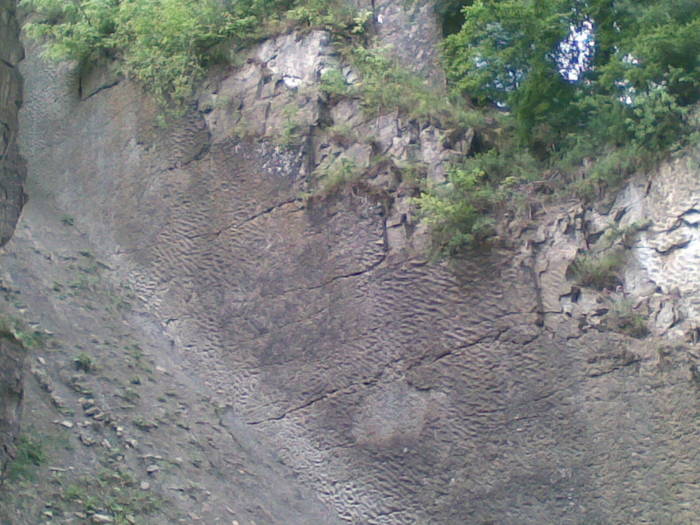 20072008(011) - Valea Ramnicului Sarat